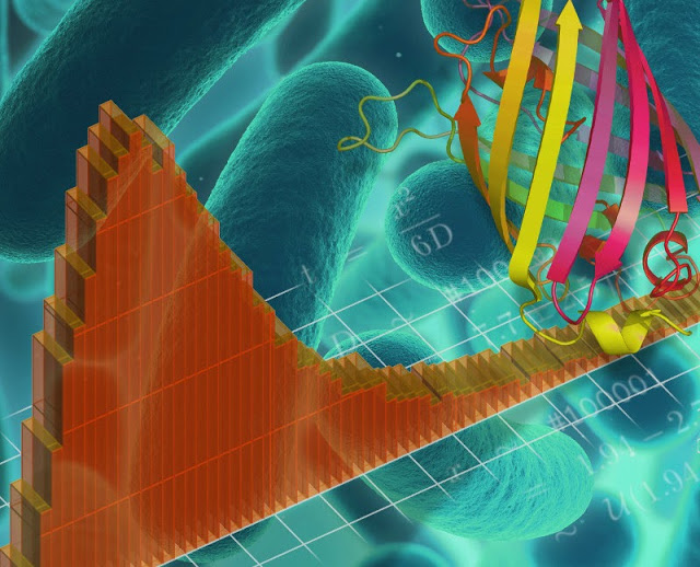 Caladis, our probabilistic calculator for stochastic cell biology